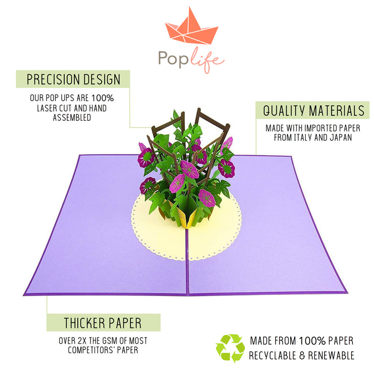 Purple Morning Glory Pop Up Card