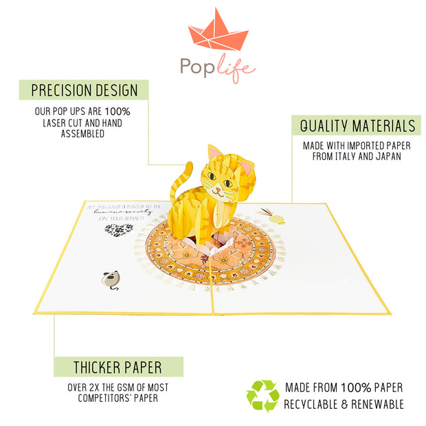 Funny Kitten Pop Up Card - GivePop, $1 donated to the Humane Society