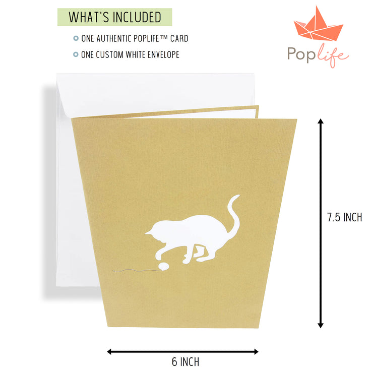 Cats Playing on Couch Pop Up Card