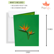 Tropical Waterfall Pop Up Card