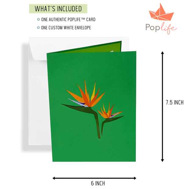 Tropical Waterfall Pop Up Card