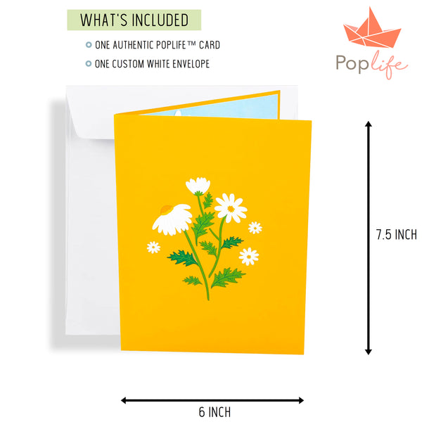 Daisy Flowers Pop Up Card