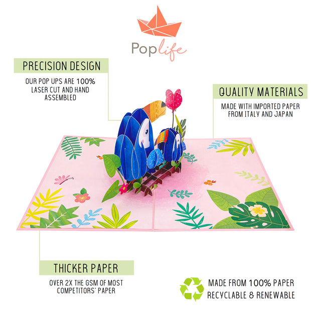 Toucan Birds Pop Up Card