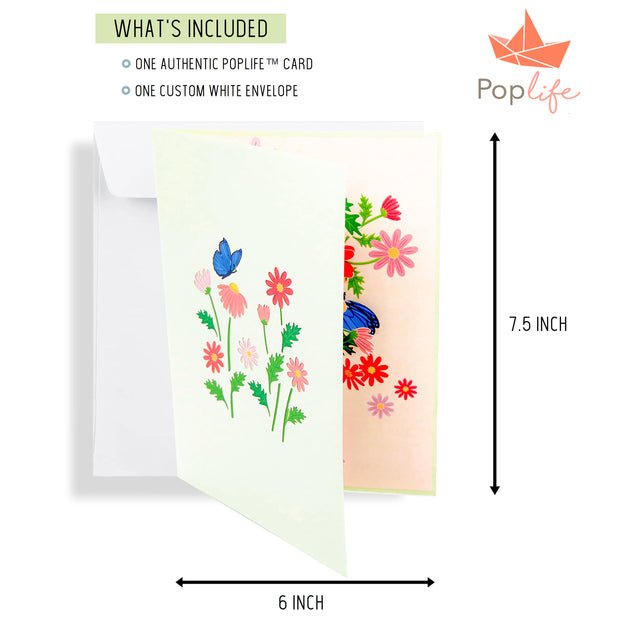 Colorful Marguerite Daisy Flowers Pop Up Card