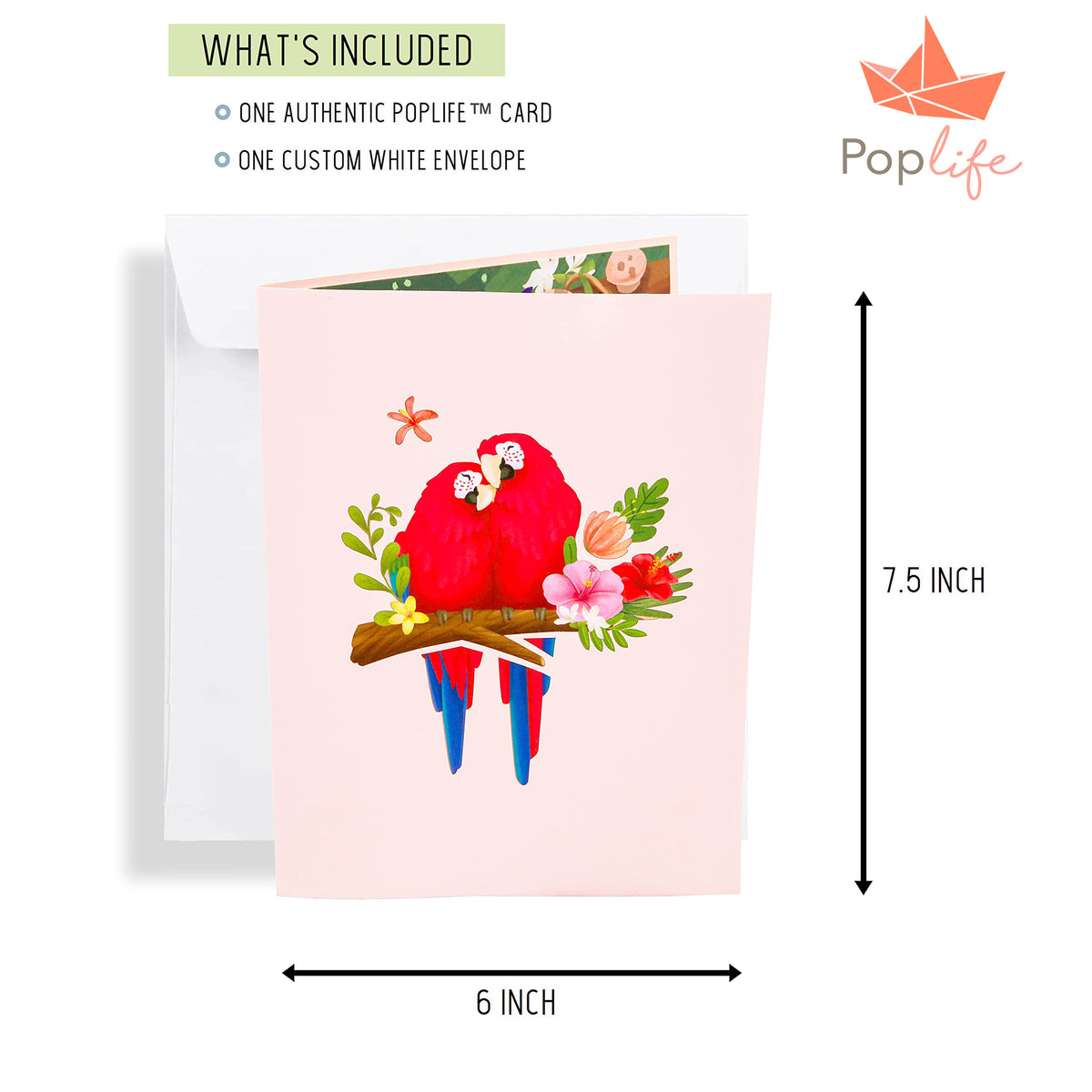 Parrot Love Birds Pop Up Card