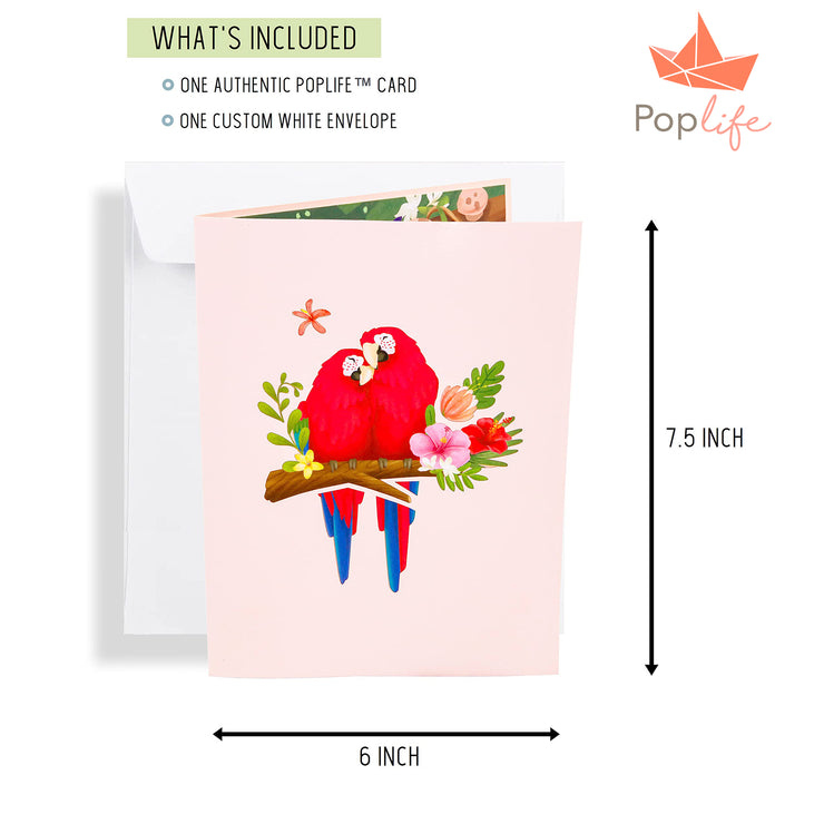 Parrot Love Birds Pop Up Card