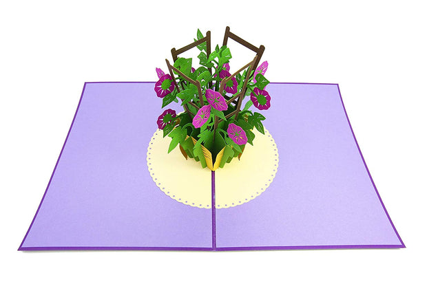 PopLife Pop-Up card features a bunch of iris flowers in a pot