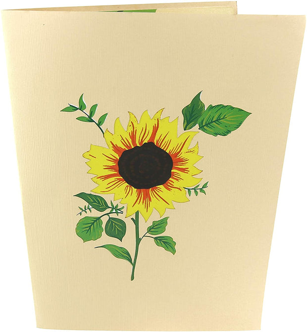 Front cover of card with light brown color features sunflower plant