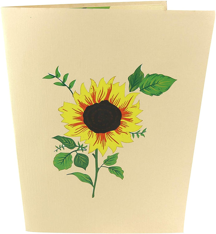 Front cover of card with light brown color features sunflower plant